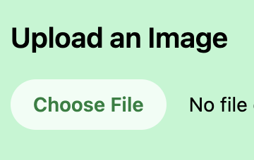 Upload Image icon